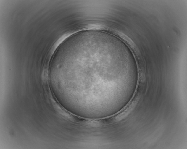 X0000111351473200907171133