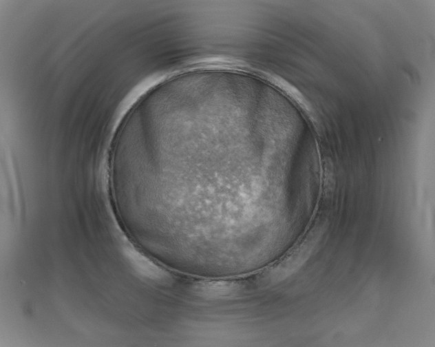 X0000111351474200907171133