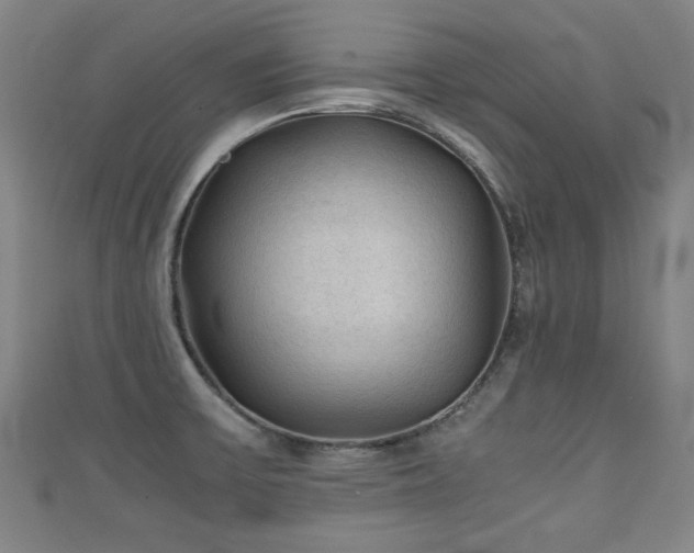 X0000111351475200907171133