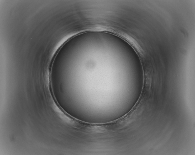 X0000111351476200907171133