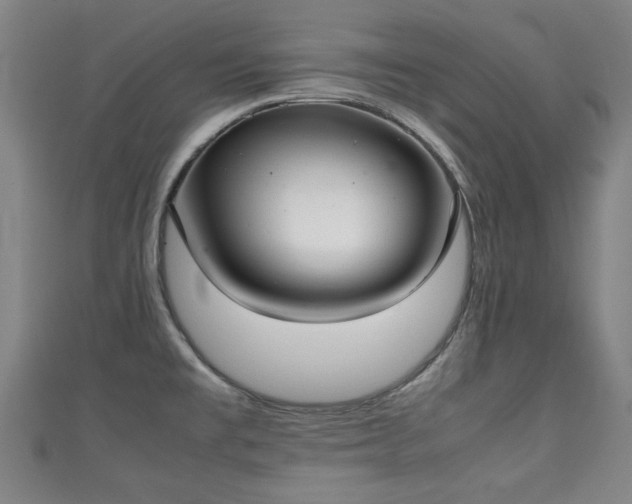 X0000111351477200907171133