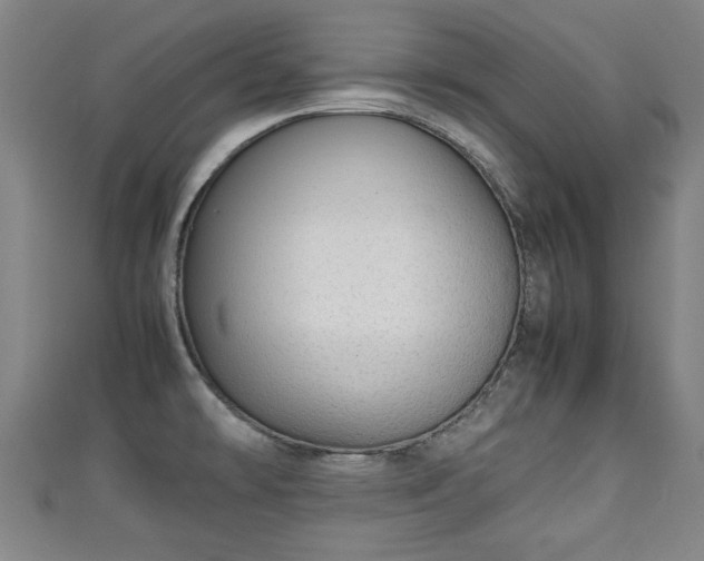 X0000111351478200907171133