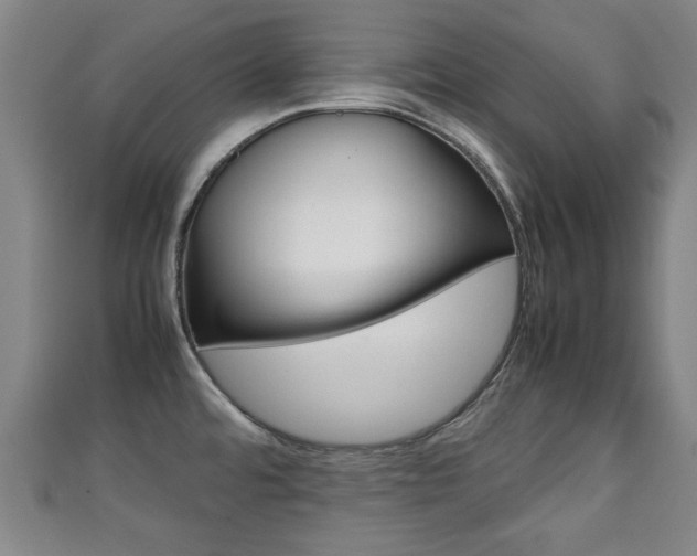 X0000111351480200907171133