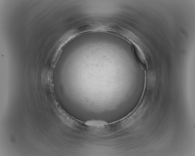 X0000111351481200907171133