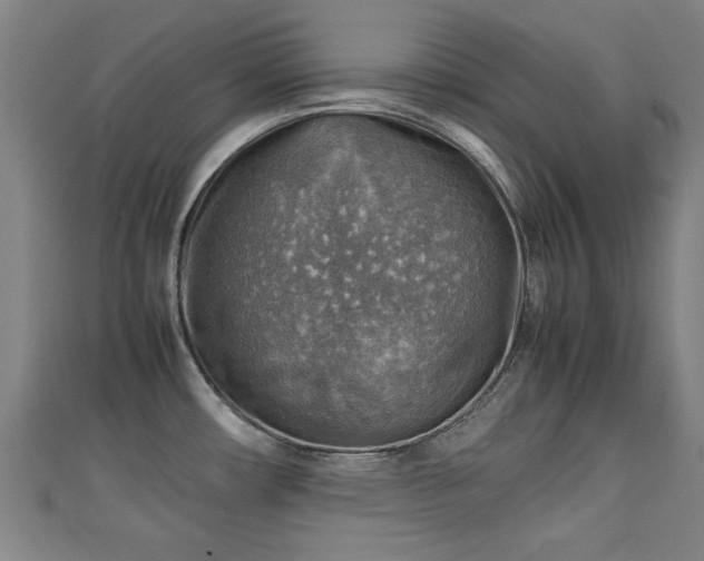 X0000111351482200907171133