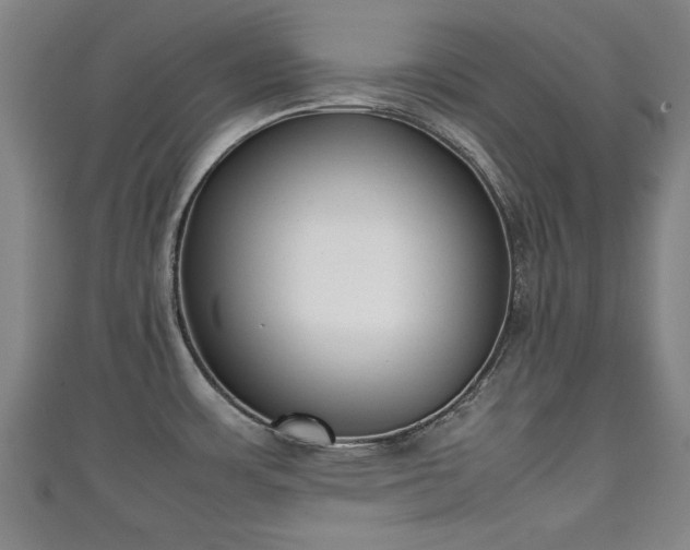 X0000111351483200907171133