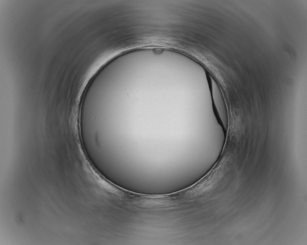 X0000111351486200907171133