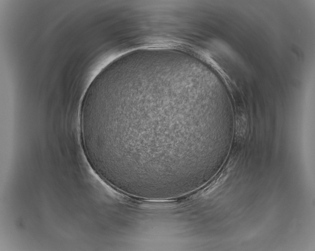 X0000111351487200907171133