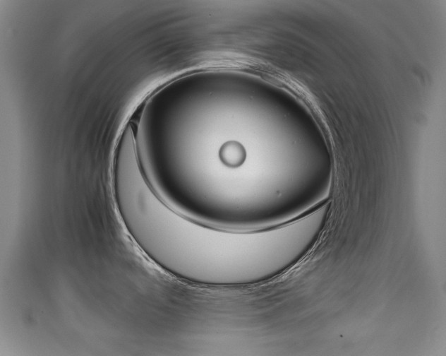 X0000111351488200907171133