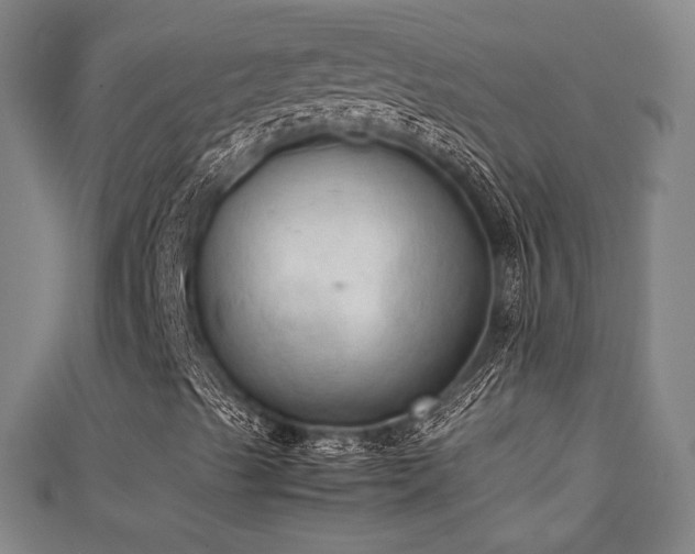 X0000111351489200907171132