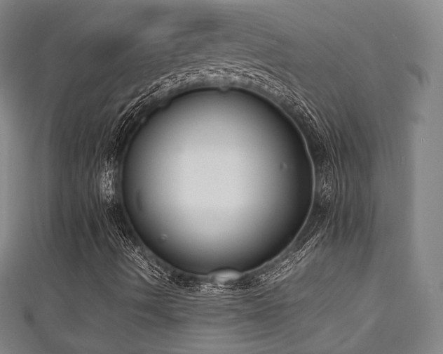 X0000111351490200907171132