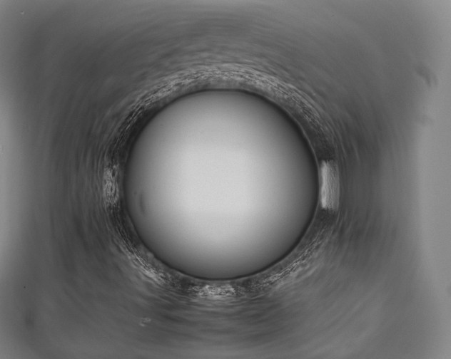 X0000111351491200907171132