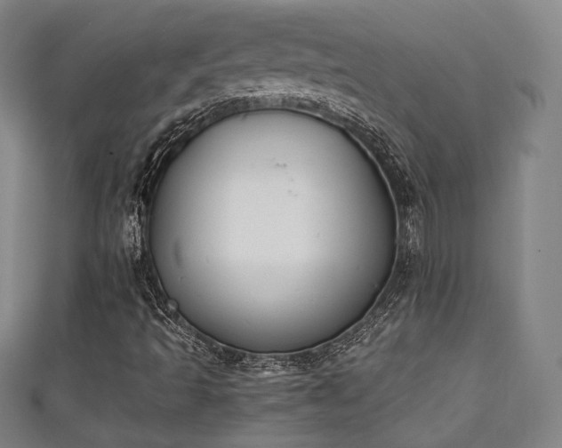 X0000111351493200907171132