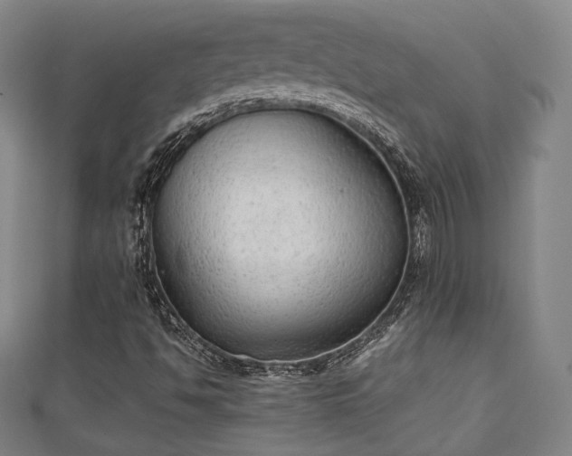 X0000111351494200907171132