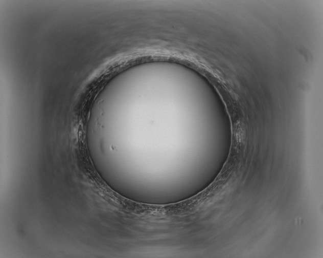 X0000111351495200907171132