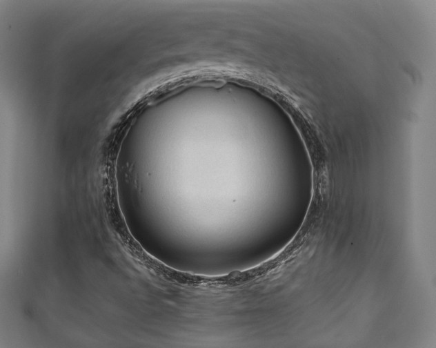 X0000111351496200907171132