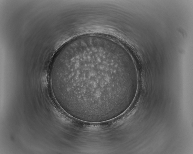 X0000111351497200907171132