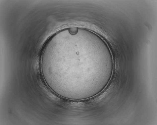 X0000111351498200907171132