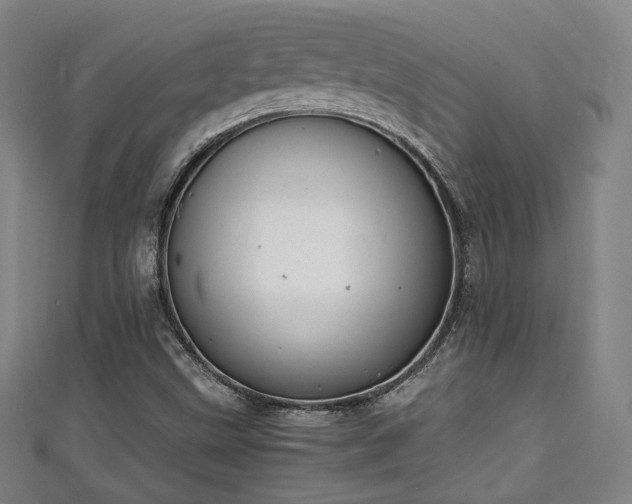 X0000111351499200907171132