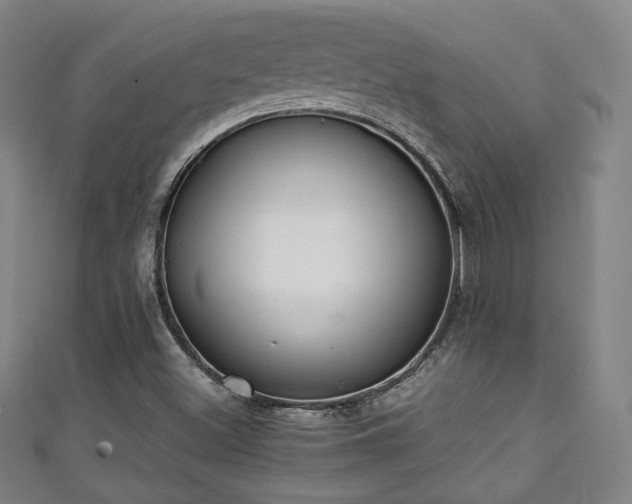 X0000111351500200907171132