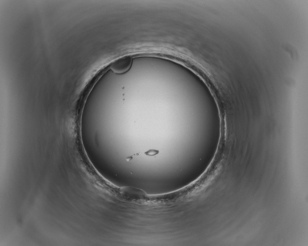 X0000111351501200907171132