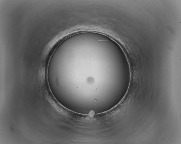 X0000111351503200907171132