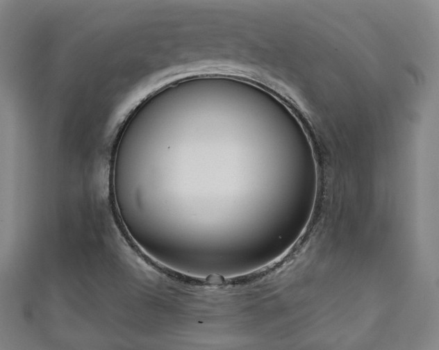 X0000111351504200907171132