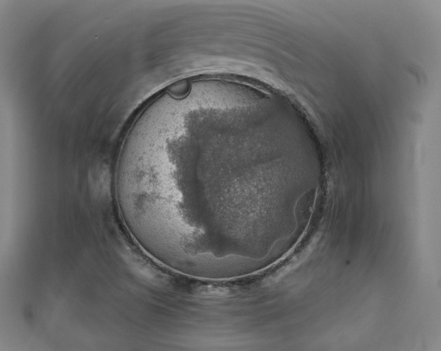 X0000111351505200907171132