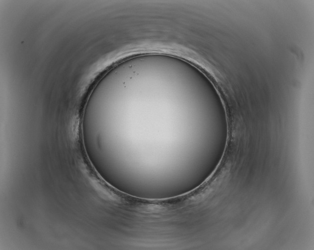 X0000111351507200907171132