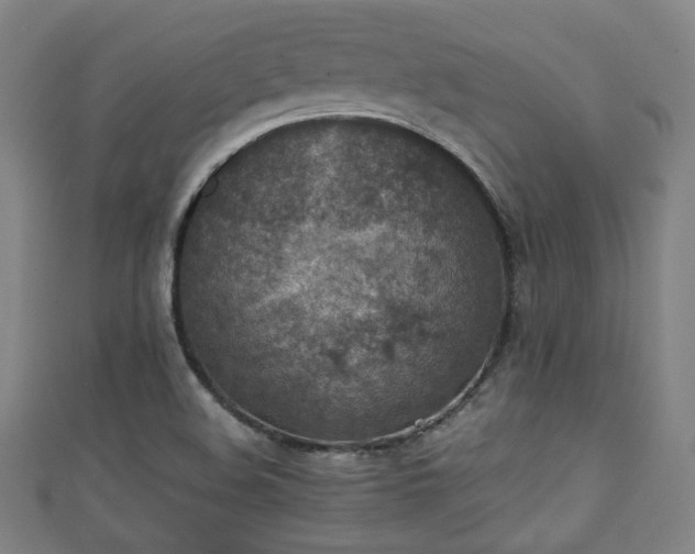 X0000111351508200907171132