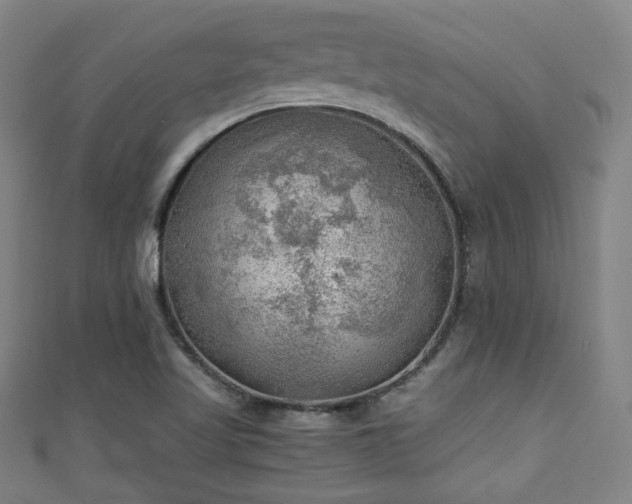 X0000111351509200907171132