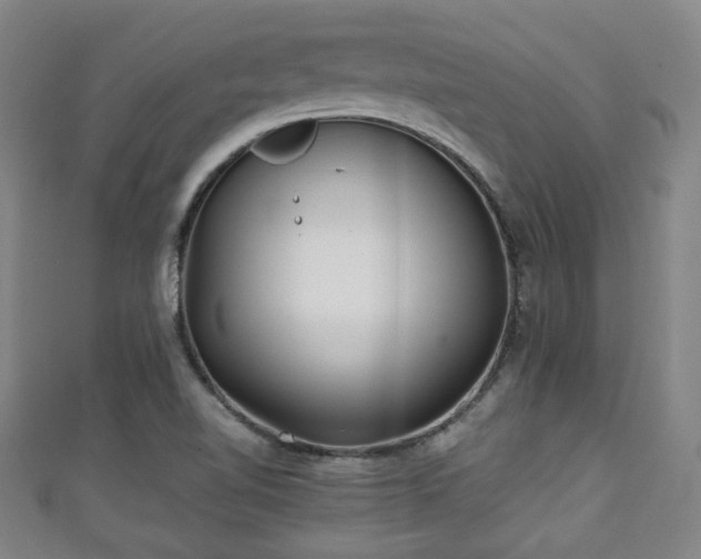 X0000111351510200907171132