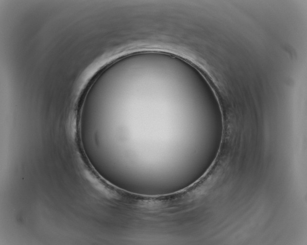 X0000111351511200907171132