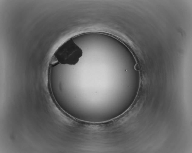 X0000111351512200907171132