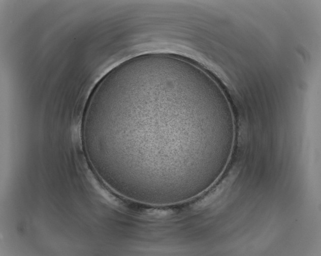 X0000111351513200907171132