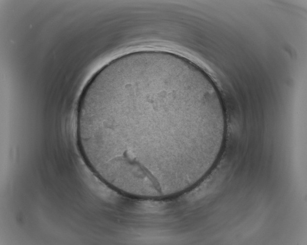 X0000111351514200907171132