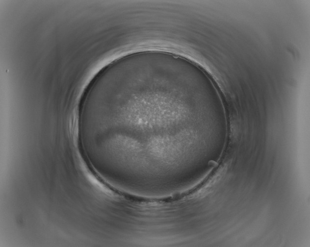 X0000111351515200907171132