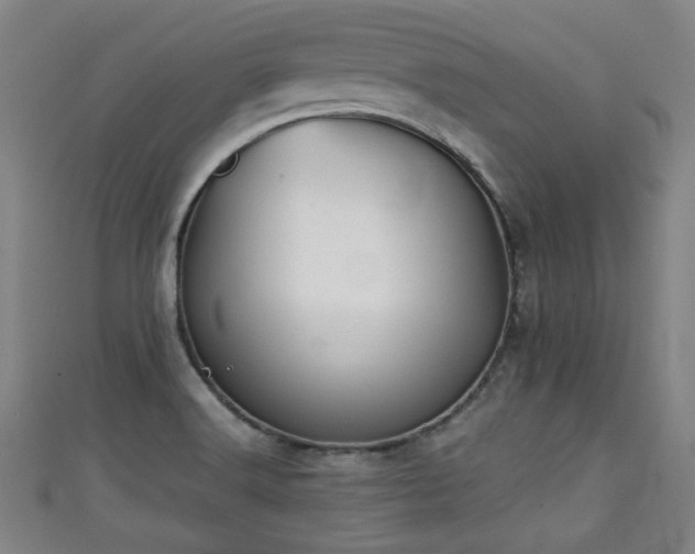 X0000111351516200907171132