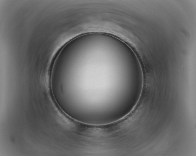 X0000111351517200907171132