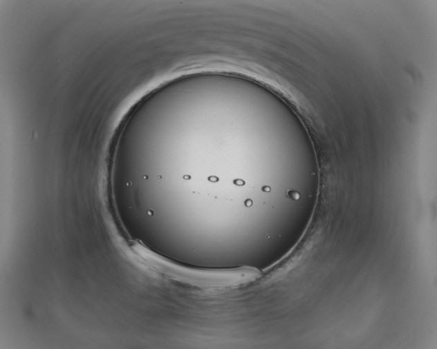 X0000111351518200907171132