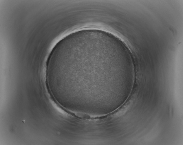 X0000111351519200907171132