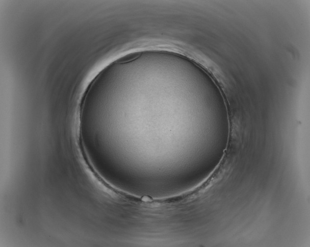 X0000111351520200907171132