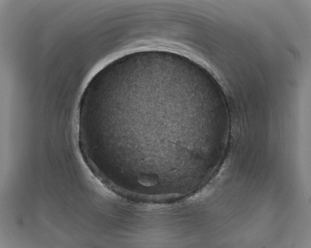 X0000111351522200907171132