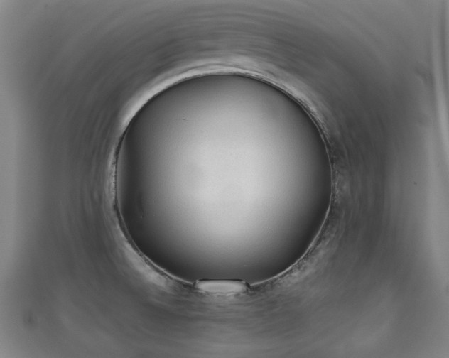 X0000111351524200907171132