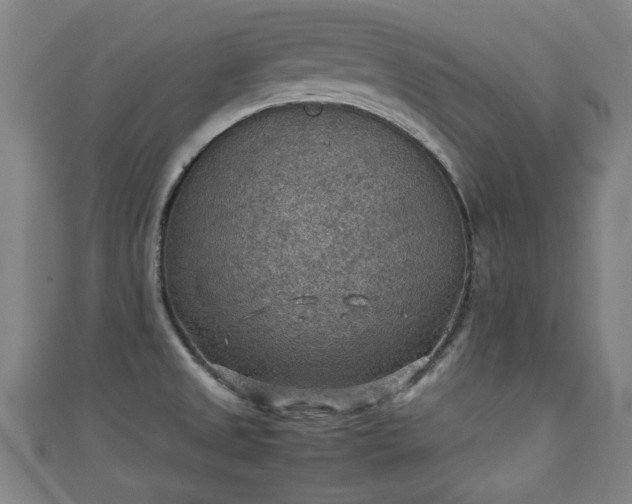 X0000111351525200907171132