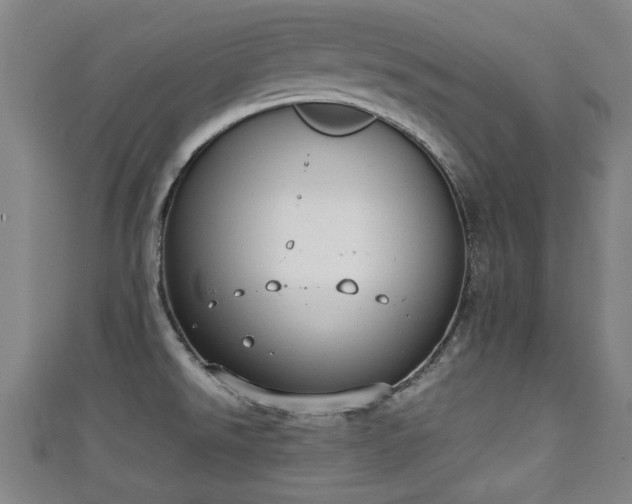 X0000111351526200907171132