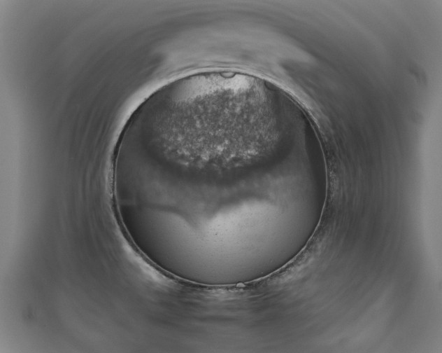 X0000111351527200907171132