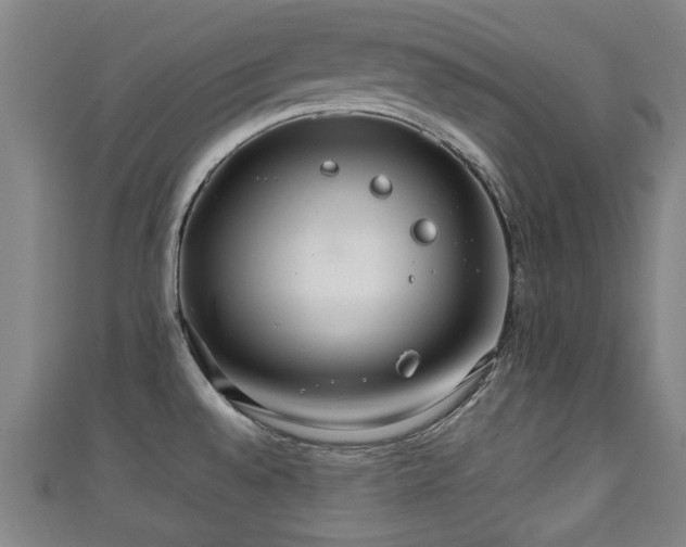 X0000111351528200907171132