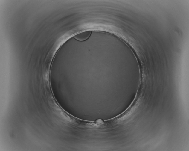 X0000111351529200907171132