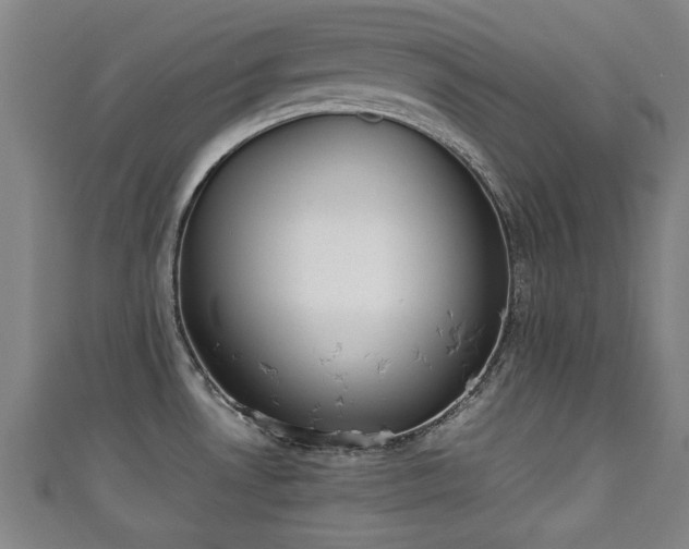 X0000111351530200907171132